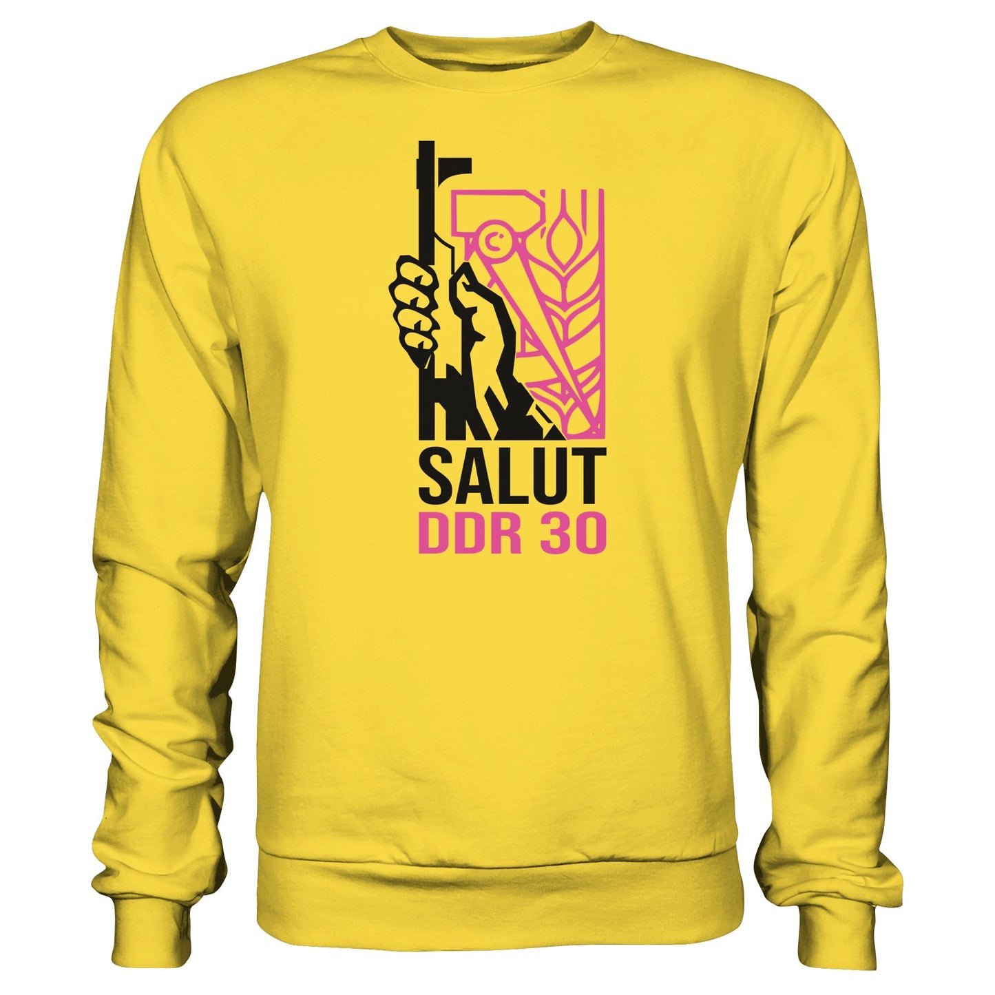 DDR Ostalgie Pullover Unisex • DDR: 30 JAHRE NVA