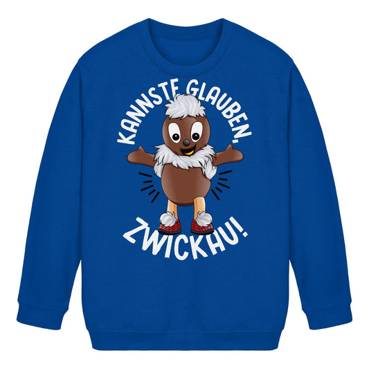 Pitti Stadt Nicki (Kids Pullover) • KANNSTE GLAUBEN, ZWICKAU!